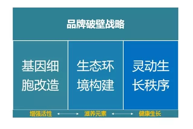 品牌升級必看的四大策略！