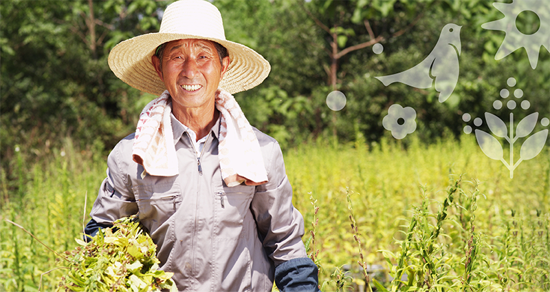 品牌形象vi設(shè)計(jì)公司是怎么進(jìn)行食品品牌形象設(shè)計(jì)的?