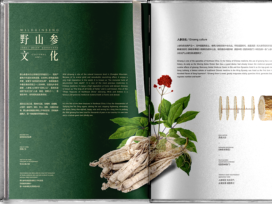 餐飲店宣傳冊設(shè)計(jì)吸引消費(fèi)者的主要原因