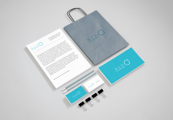 vi設(shè)計(jì)公司