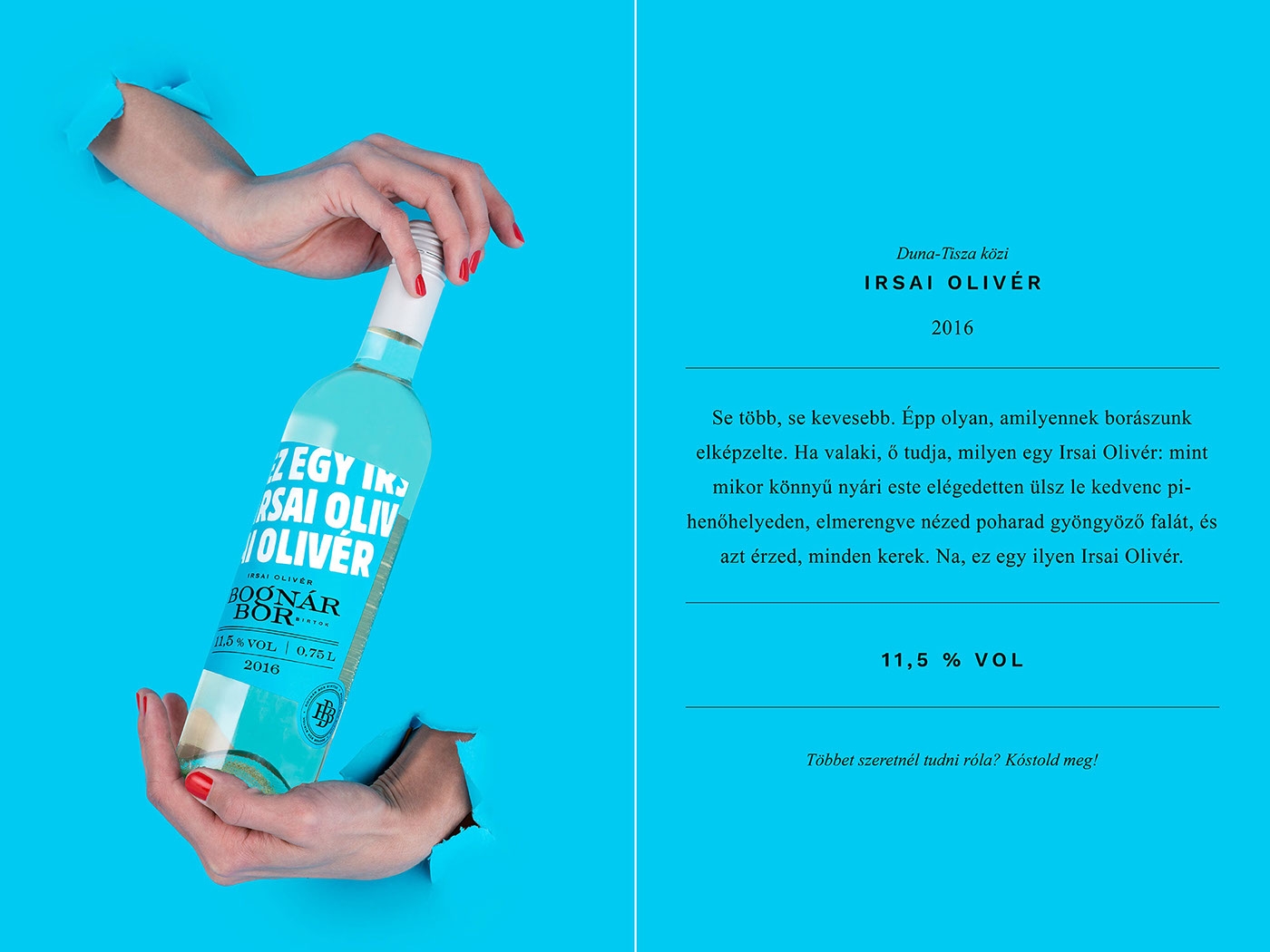 Bognar家族的年輕葡萄酒包裝設計，我們只需要更年輕