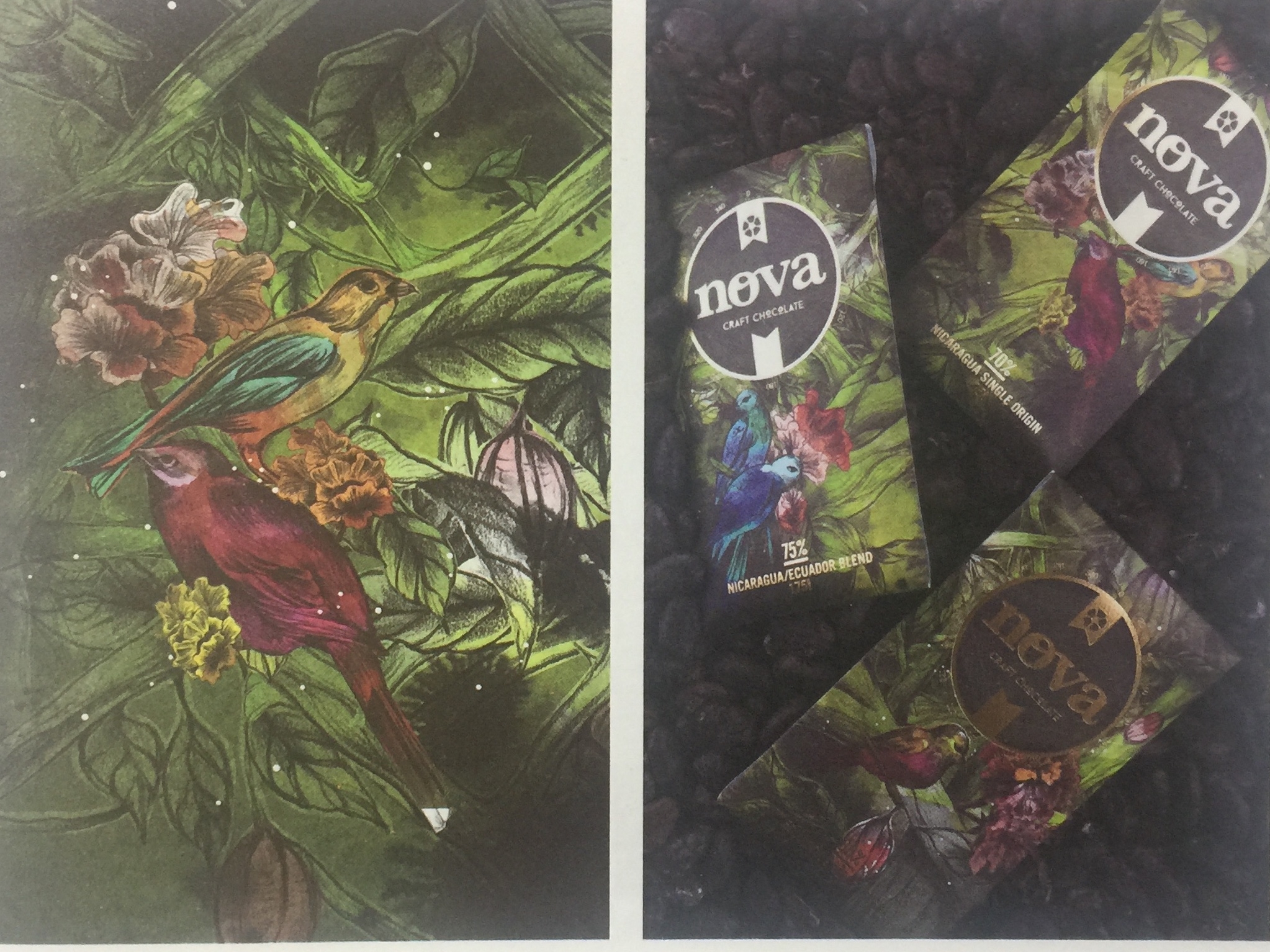 天然、綠色的休閑食品巧克力包裝設計