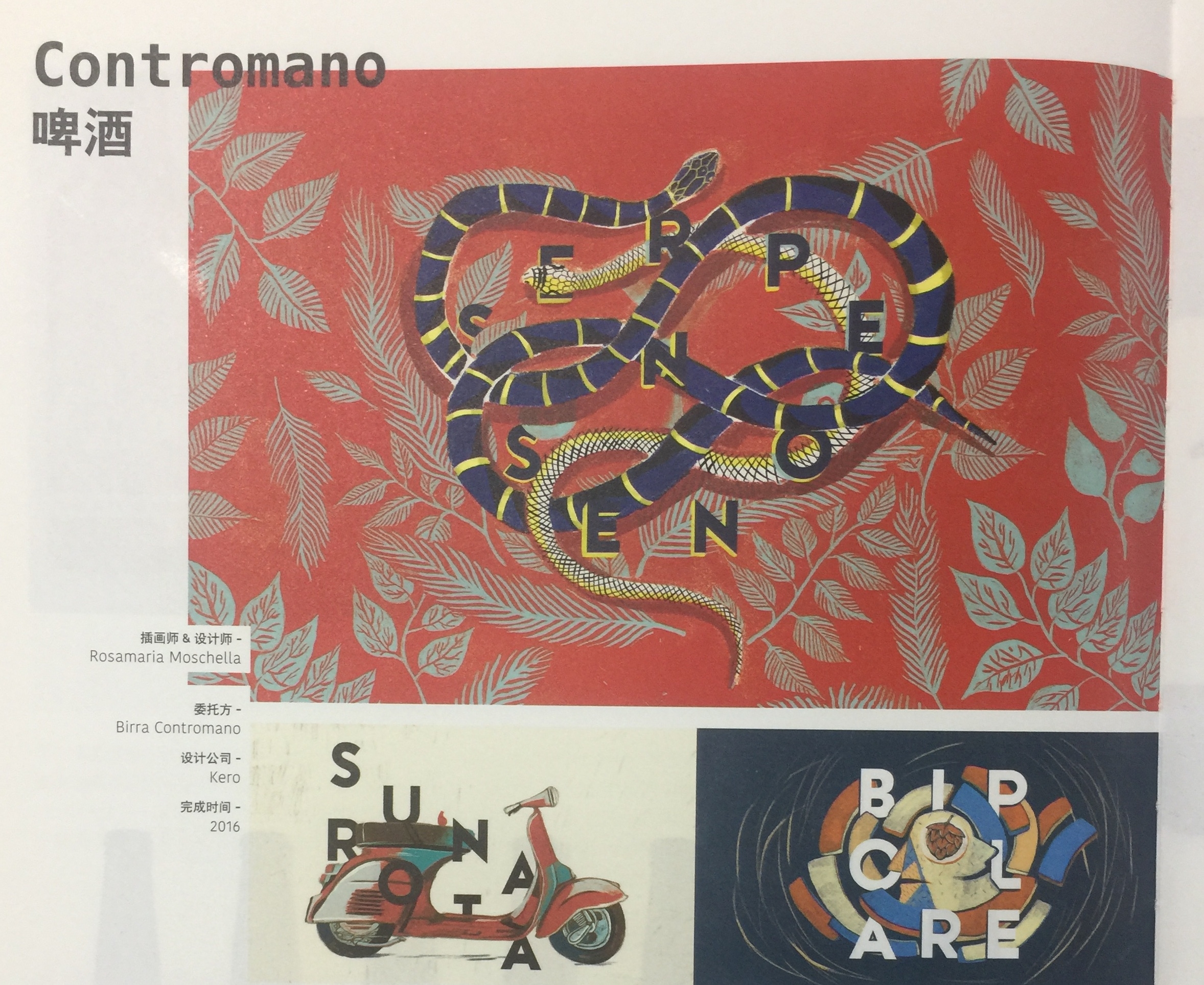 羅馬的故事-特殊的啤酒瓶包裝設計